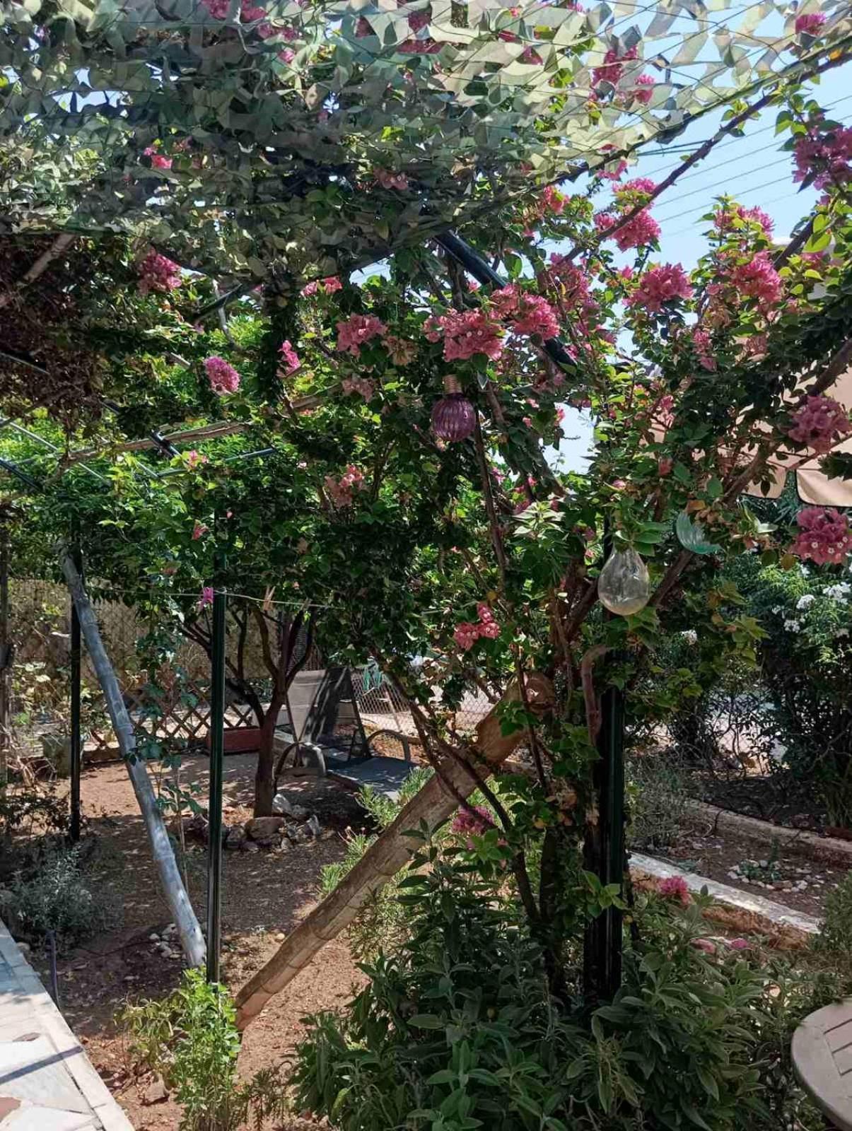 Εξοχικό Roxani Βίλα Αμπελάκια Εξωτερικό φωτογραφία